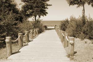 Fast schon tropischer Anblick: der Weg zum Strand.